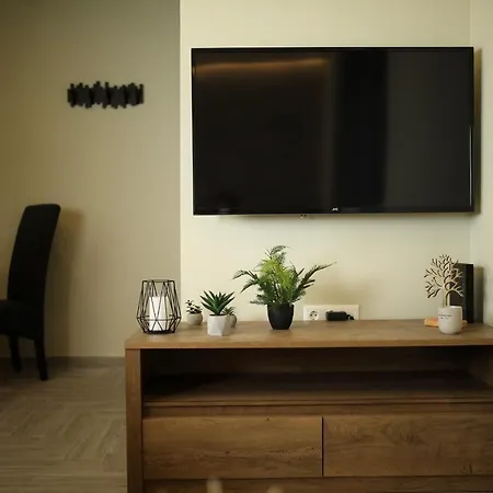 Apartment Le Centre *